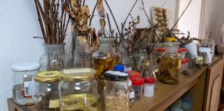 Pesticidet në nivel rajonal janë jashtë kontrollit